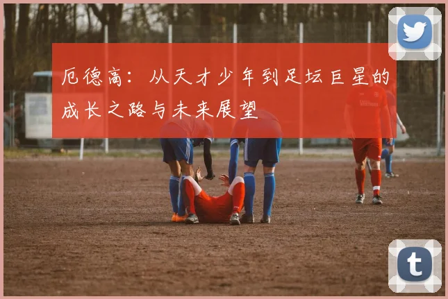 厄德高：从天才少年到足坛巨星的成长之路与未来展望